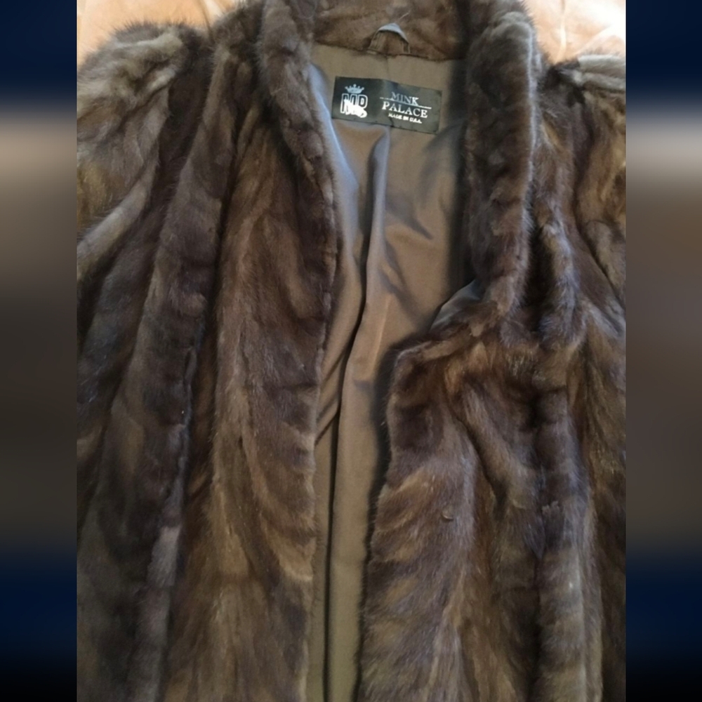PALACE Mink  Brown New